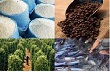 Khẩn trương xây dựng một số chính sách phát triển nông, thủy sản